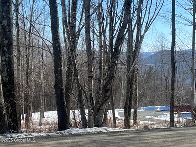 347 W West Hill Rd, New Lebanon, NY 12125 - photo 7