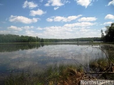 0 Moser Dr unit 4592322, Webster, WI 54893 - photo 3
