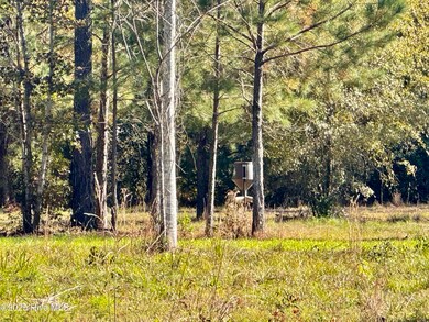 0 Near 4294 James B Wh, Whiteville, NC 28472 - photo 6