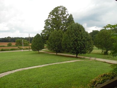 view of driveway