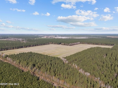 0 Tuten Rd, Edward, NC 27821 - photo 6