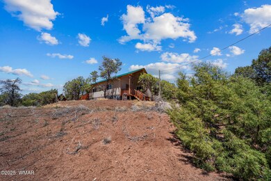 Main Cabin South Exterior View