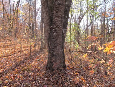 9560 Madison, Red Star, AR 72752 - photo 5