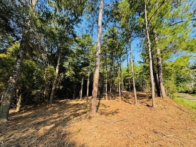 TBD Par Road 266, Franklinton, LA 70438 - photo 3