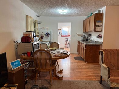 321 Elm St, Sutherland, NE 69165 - photo 4