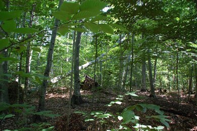 0 Wilcox Rd, Washington Island, WI 54246 - photo 2