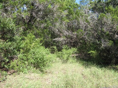 0 County Road 241, Hondo, TX 78861 - photo 4