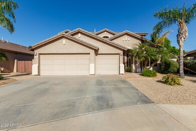 Desert Landscaping