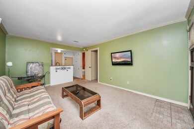Recent Carpet installed.