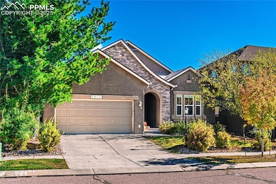 5035 Petrified Forest Trail, Colorado Springs, CO 80924 - photo 2