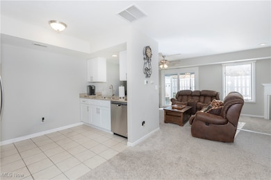 7709 Brandywine Creek Dr, Northfield, OH 44067 - photo 6