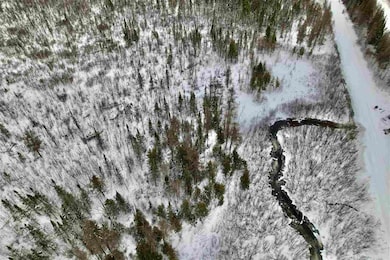 TBD U S 131, Boyne Falls, MI 49713 - photo 5