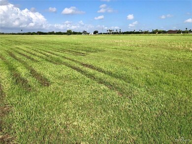 NN Billman Rd, Donna, TX 78537 - photo 3
