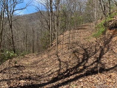 27 Pathfinder Trail, Asheville, NC 28806 - photo 3