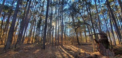 TBD Farm To Market Road 850, Arp, TX 75750 - photo 5