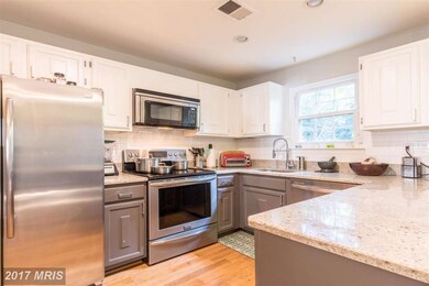 11743 Dry River Ct, Reston, VA 20191 - photo 7