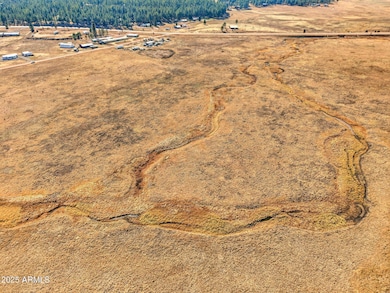 Lot 23 the Ranch at Alpine -- unit 23, Alpine, AZ 85920 - photo 7