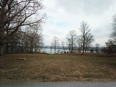 602 S Raum Park Dr, Golconda, IL 62938 - photo 6