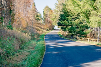 0 Shelor Rd SW, Meadows Dan, VA 24120 - photo 5