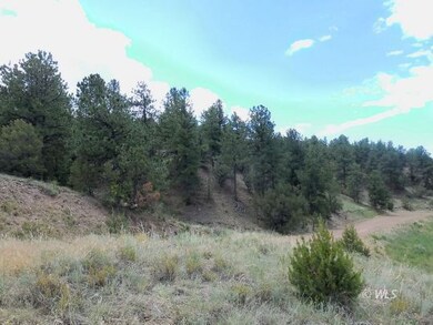 Ponderosa across the road