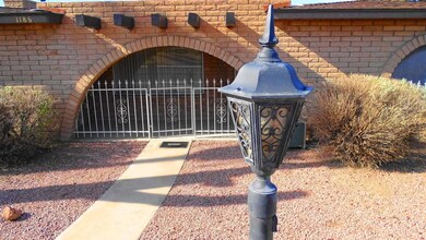 palo verde 02