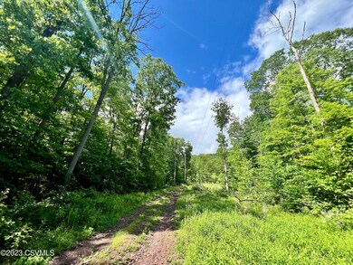 2298 Upper Rd, Shamokin, PA 17872 - photo 6