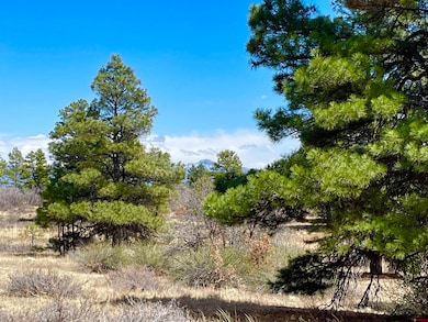 21 Eiffel Ct, Pagosa Springs, CO 81147 - photo 3