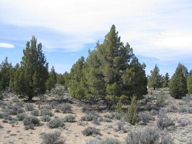 8 Drover Way, Bend, OR 97702 - photo 5