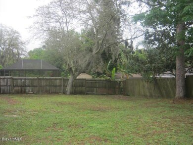 Backyard.jpg