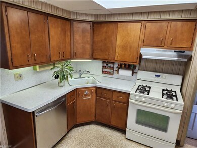 Kitchen featuring sink, dishwasher, countertops li