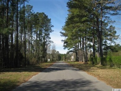 TBD Lighthouse Church Rd, Conway, SC 29526 - photo 2