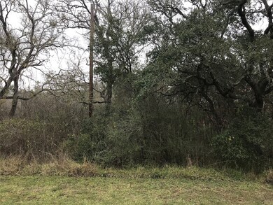 TBD Primero Dr, Brazoria, TX 77422 - photo 2