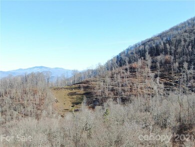 99999 Eagle Rock Ln, Egypt, NC 28714 - photo 4