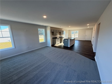 74 Dalton Dr, Lumber Bridge, NC 28357 - photo 3