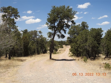 1C Tierra de Dios, Rowe, NM 87567 - photo 3