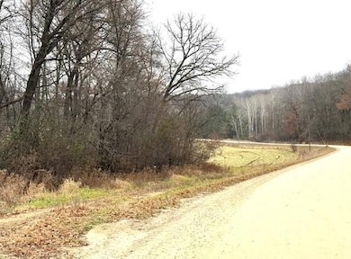 19xx 65th St NE, Rochester, MN 55906 - photo 2