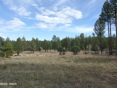 2925 Buckskin Canyon Rd, Heber-Overgaard, AZ 85928 - photo 6