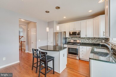 42607 Pine Forest Dr, Chantilly, VA 20152 - photo 7