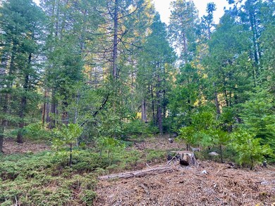 1557 Lily Valley Cir, West Point, CA 95255 - photo 3