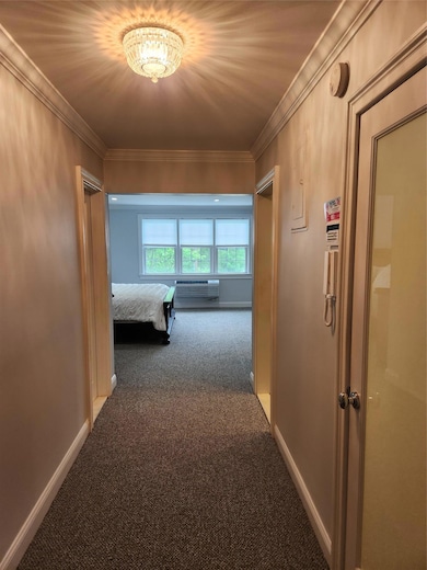 1 Bengeyfield Dr unit 2G, East Williston, NY 11596 - photo 5