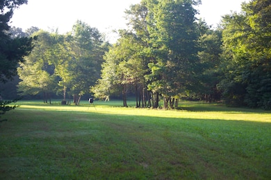 4000 W Fork Rd, Saulsbury, TN 38067 - photo 4