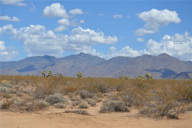 Lot P6A Suzette Rd, Yucca, AZ 86438 - photo 7