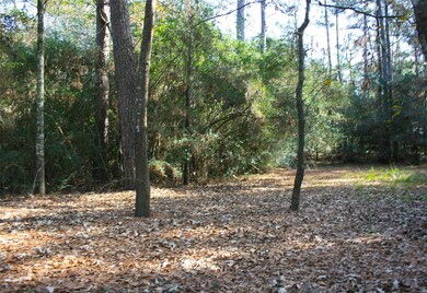 Lot 11 Silver Elm Place, Magnolia, TX 77355 - photo 5