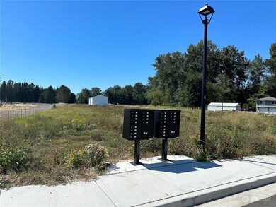 513 Colton Ln, Everson, WA 98247 - photo 4