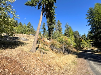 34500-35698 N Terrace Dr, Bayview, ID 83803 - photo 7