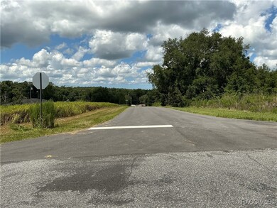 7870 N Merrimac Way, Citrus Springs, FL 34434 - photo 5