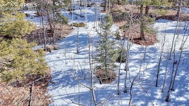 626 Little Topsey Dr, Cripple Creek, CO 80813 - photo 7