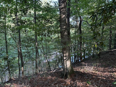 000 Pleasant Ridge Rd, Hickory, MS 39332 - photo 6