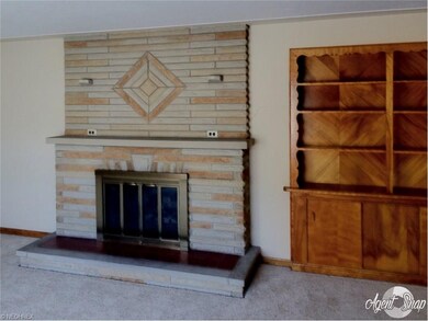 Living room fireplace and book shelf