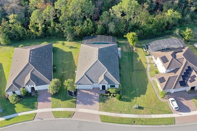 3061 Agostino Terrace, Kissimmee, FL 34746 - photo 5